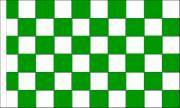 Grøn/hvid ternet flag, Polyester 90x150cm